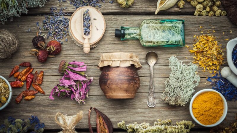 herbalism leveling guide